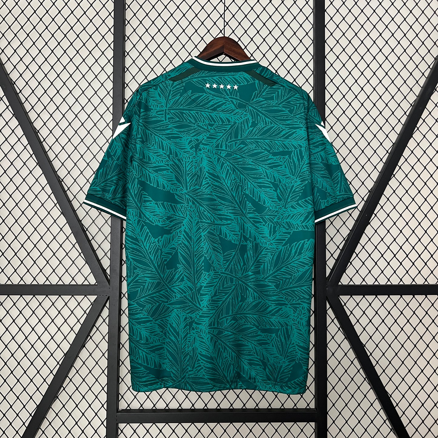 Camiseta Santiago Wanderers Local 2024/25 | Versión fan