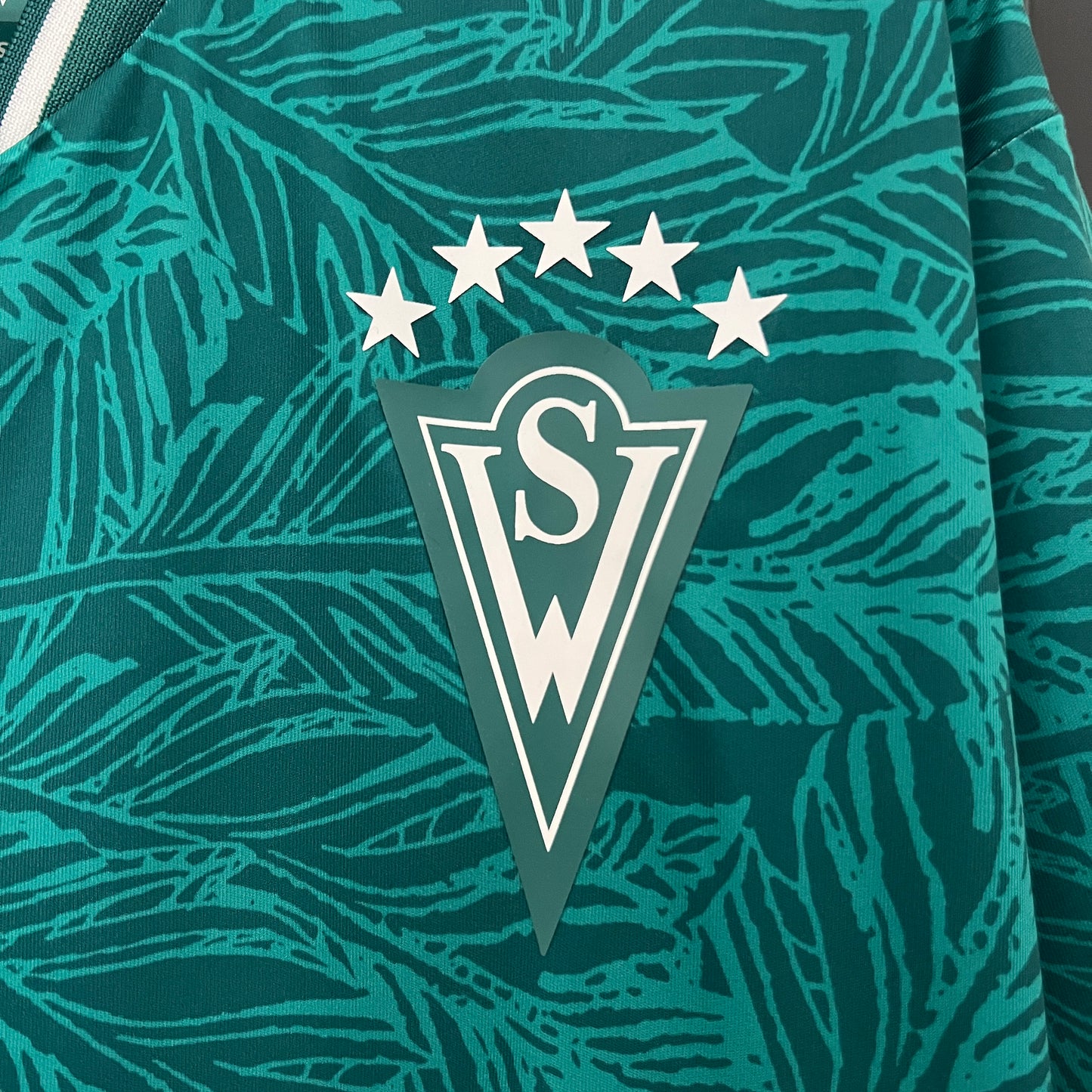 Camiseta Santiago Wanderers Local 2024/25 | Versión fan