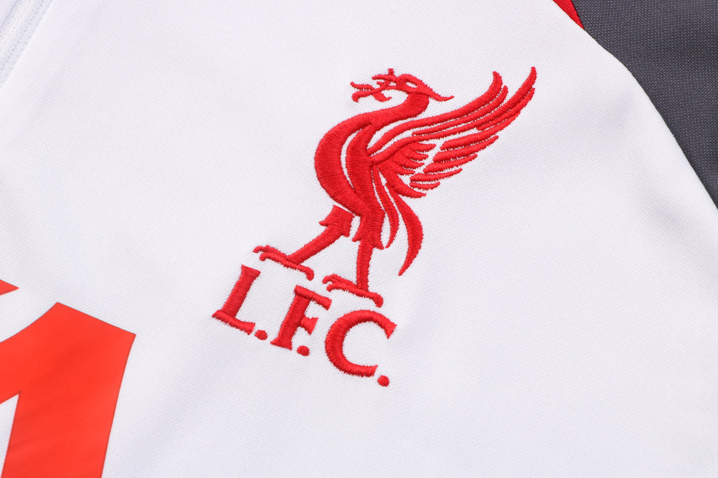 Buzo completo Liverpool 2022 Gris y rojo | Cremallera media